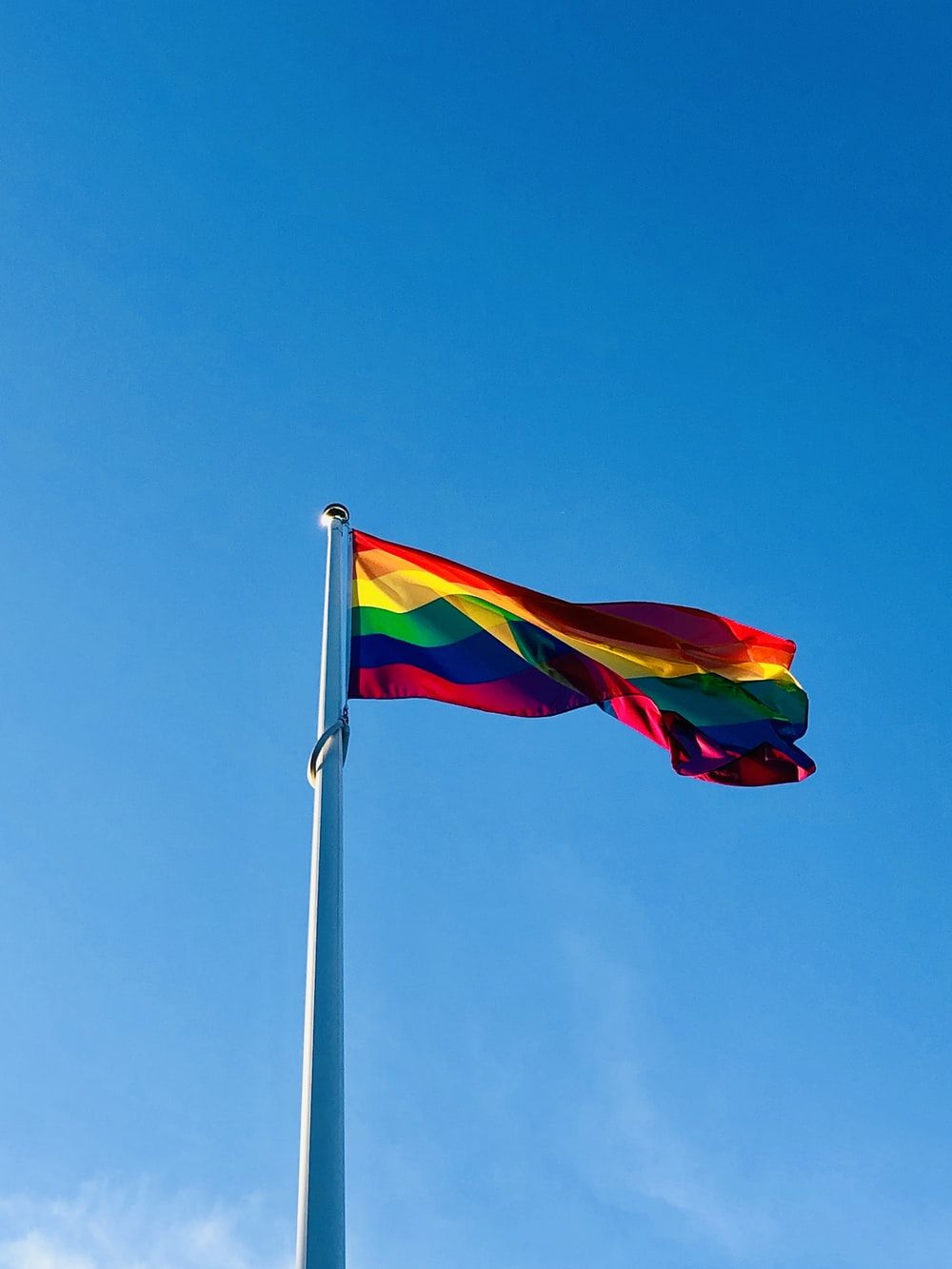 gay flag background