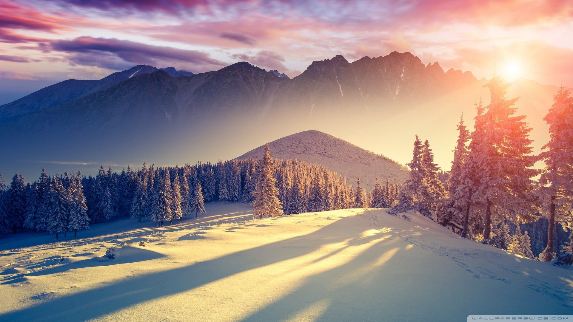 Sunset Winter Shadows Wallpaper: Find .in.com