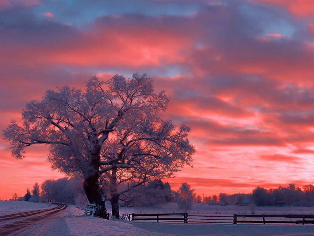 Winter Sunset Wallpaperwallpaperafari.com