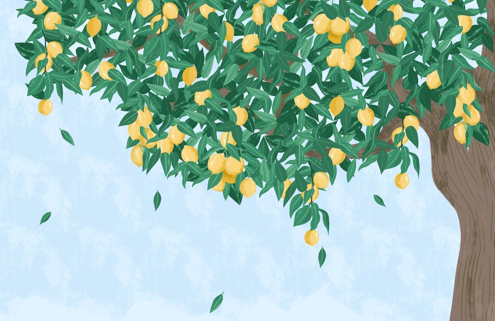Lemon Tree Wallpaper Free Lemon .wallpaperaccess.com