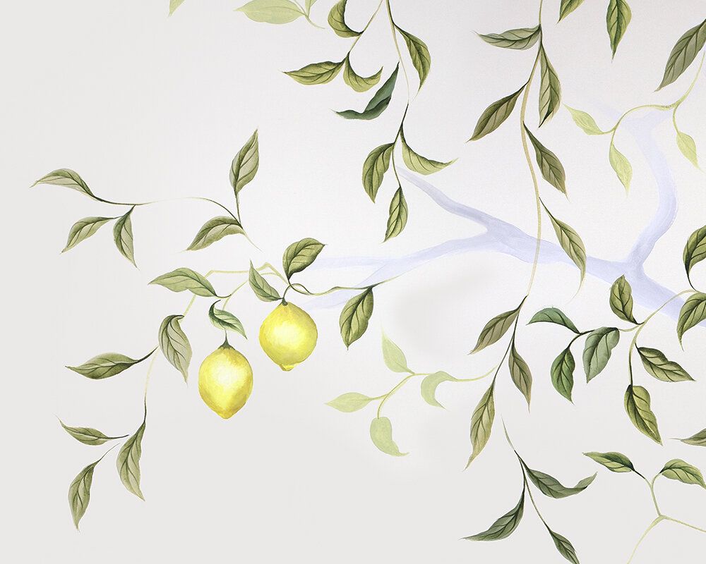 Lemon tree mural wallpaper