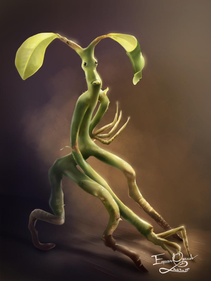 Bowtruckle Wallpaper Free .wallpaperaccess.com