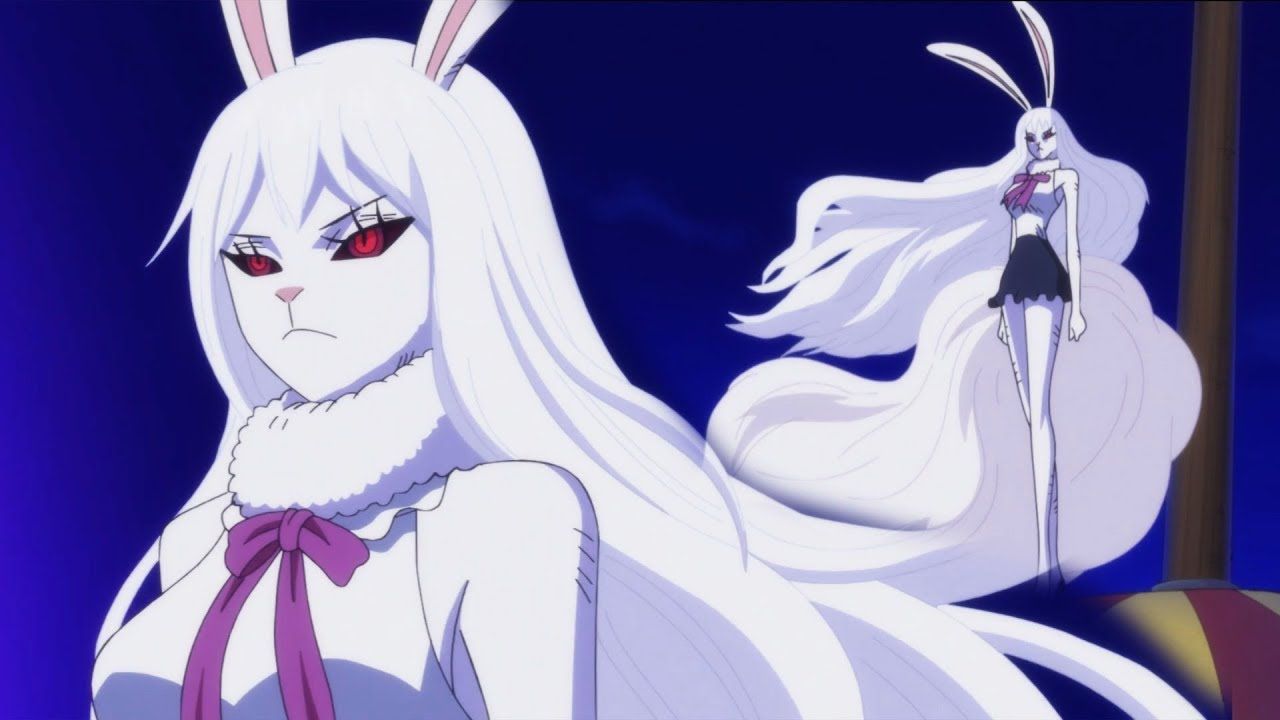 Carrot Sulong Wallpapers Wallpaper Cave