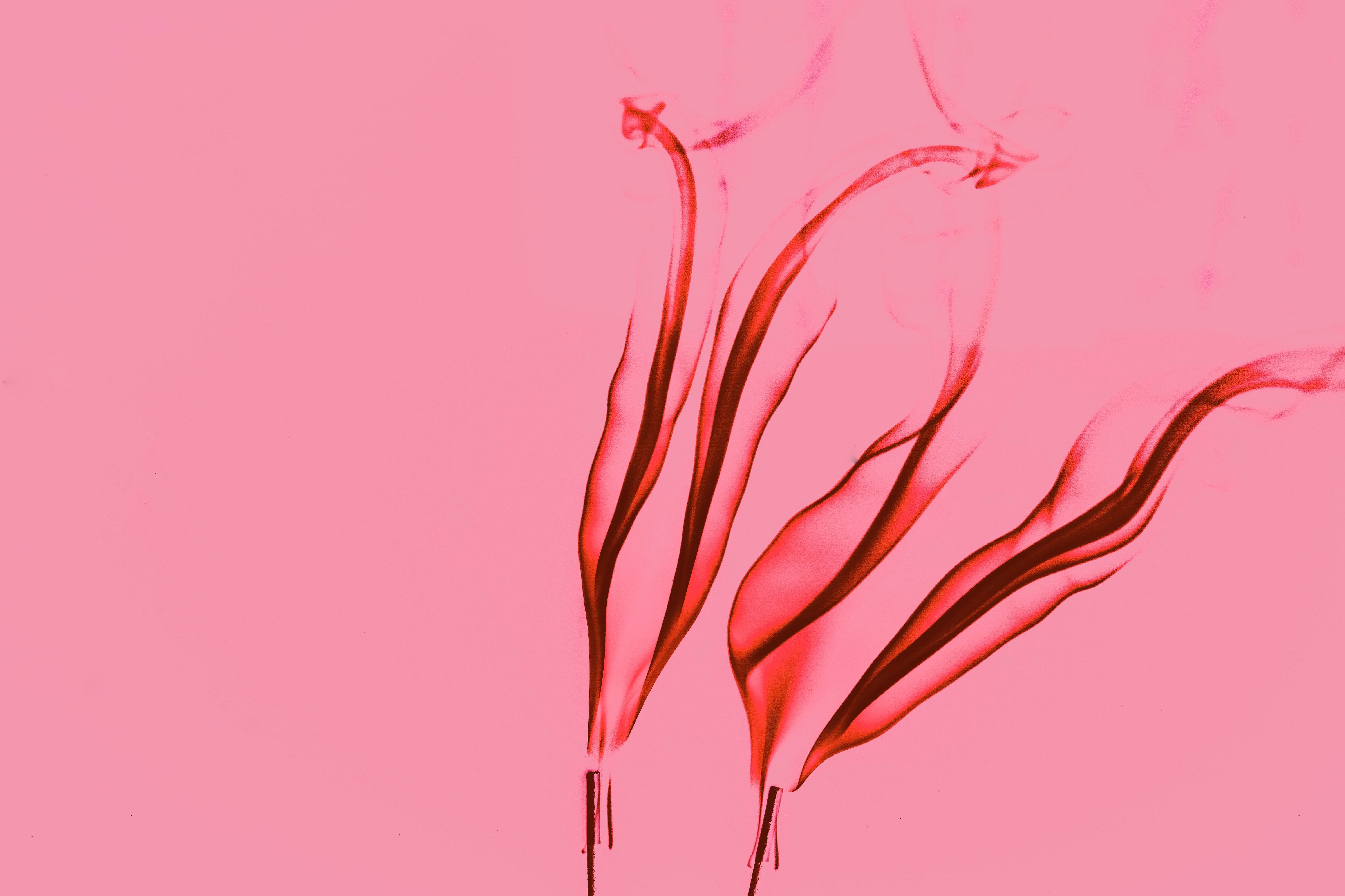 Pink Flame Abstract Wallpaper · Free .pexels.com