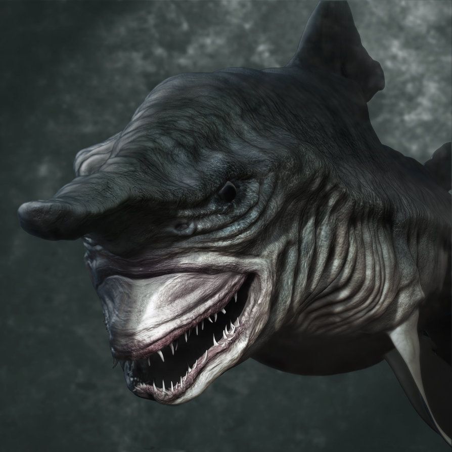 Goblin shark, Deep sea sharks .com