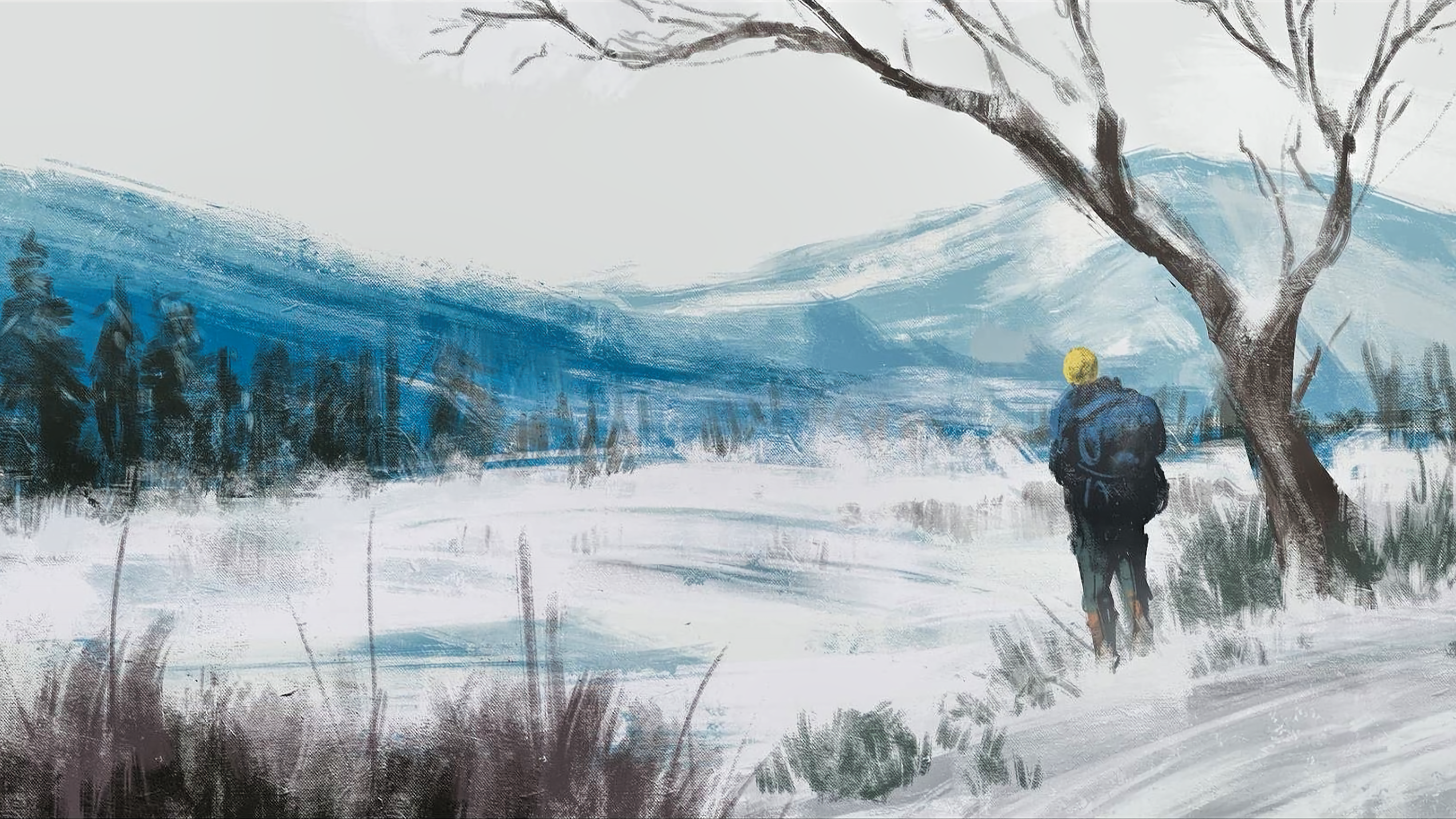 Forest Landscape Winter Imad Awan .wallha.com