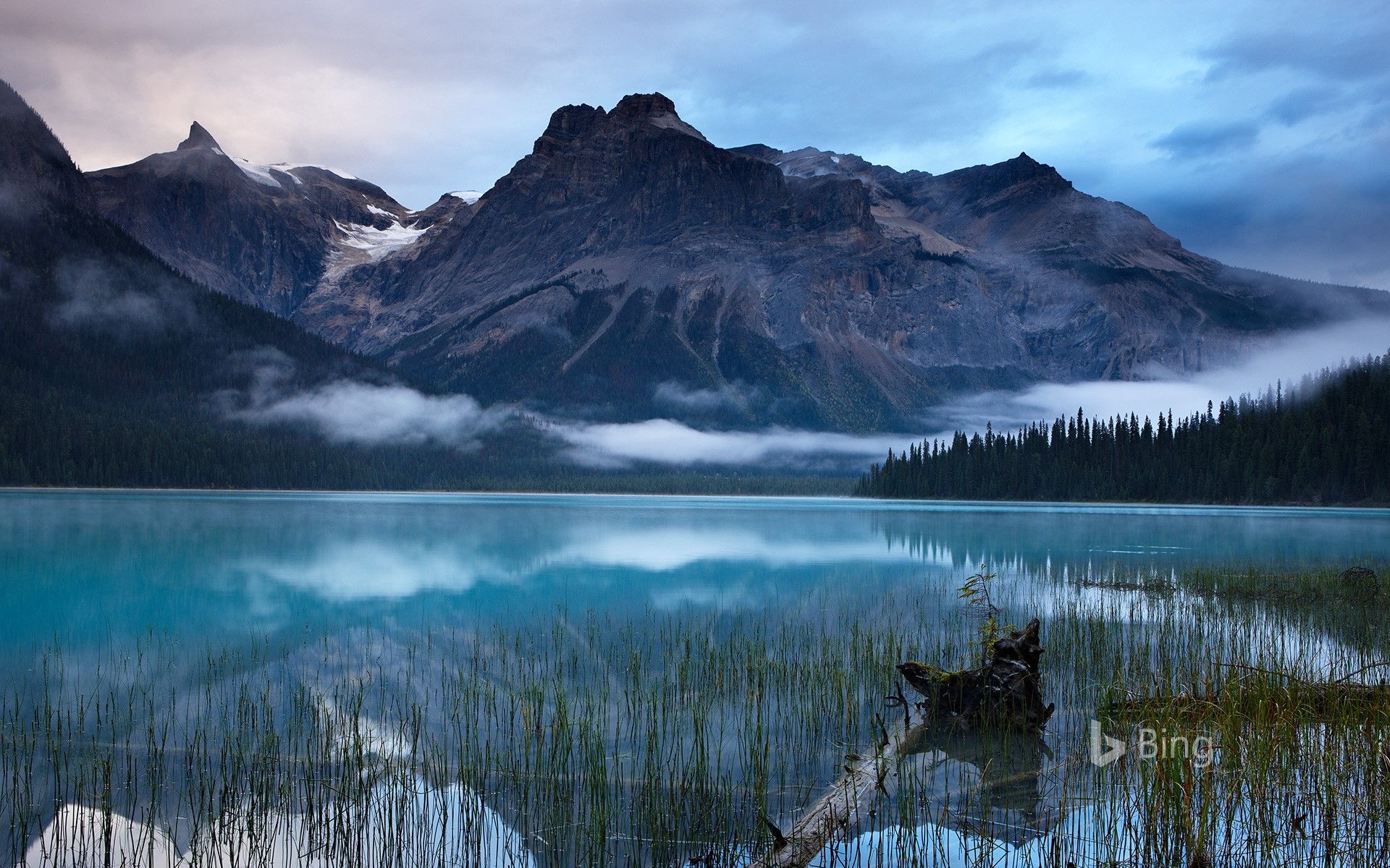 Yoho National Park, B.C., Canada .sonurai.com