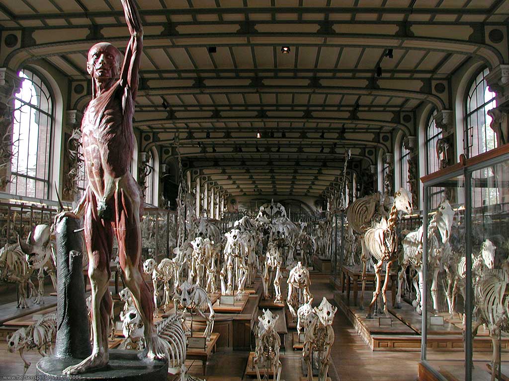 wallpaper by Mark van Laere .markvanlaere.nl