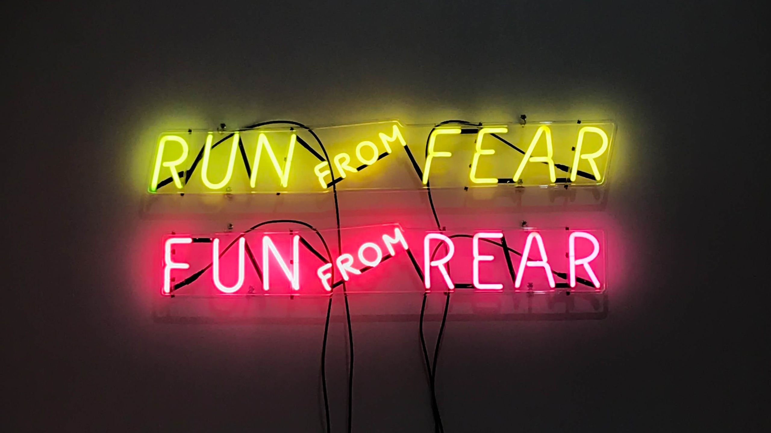 Run From Fear Fun From Rear HD .hdwallpaper.in