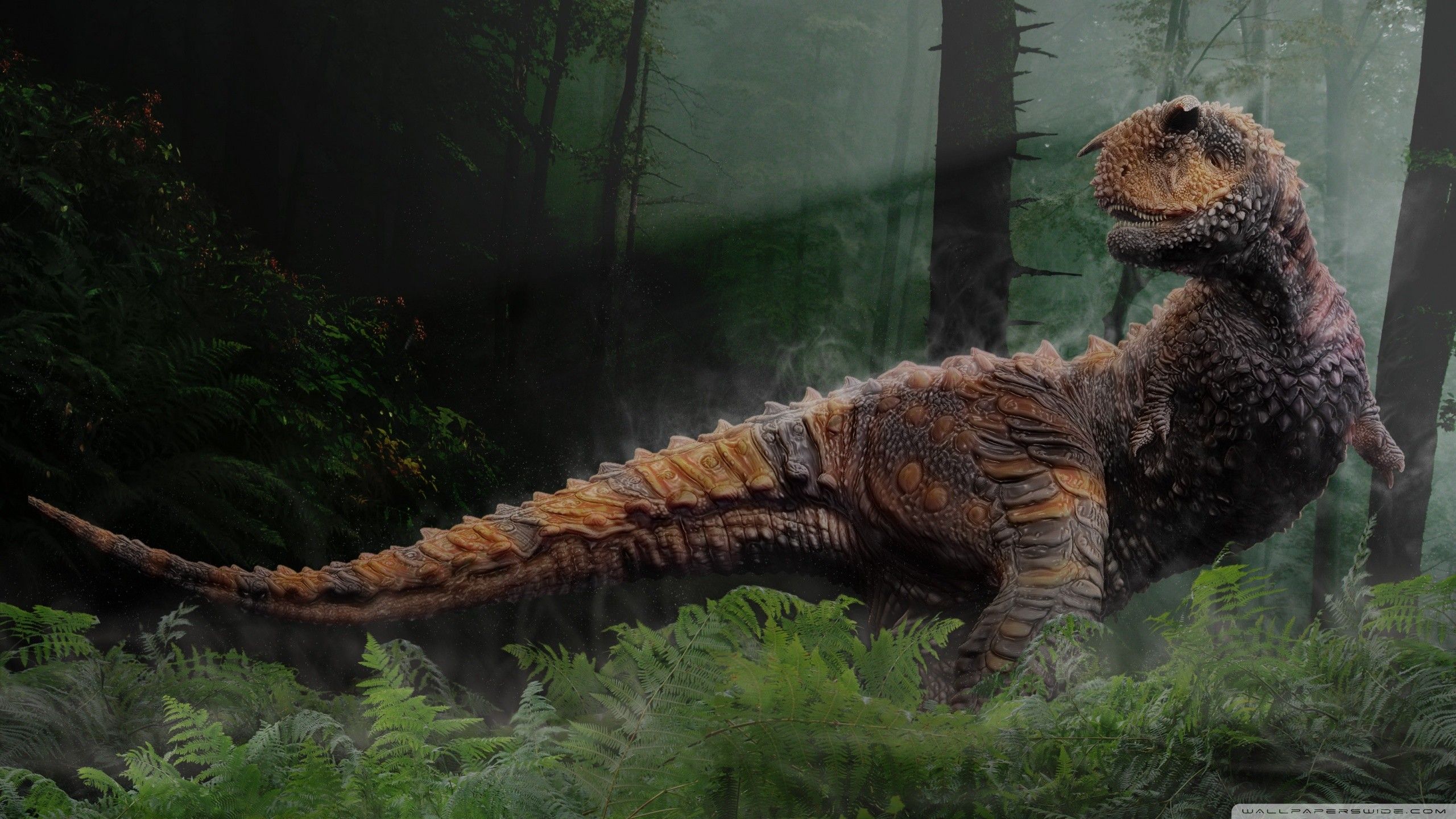 Paleontology Wallpapers - Wallpaper Cave