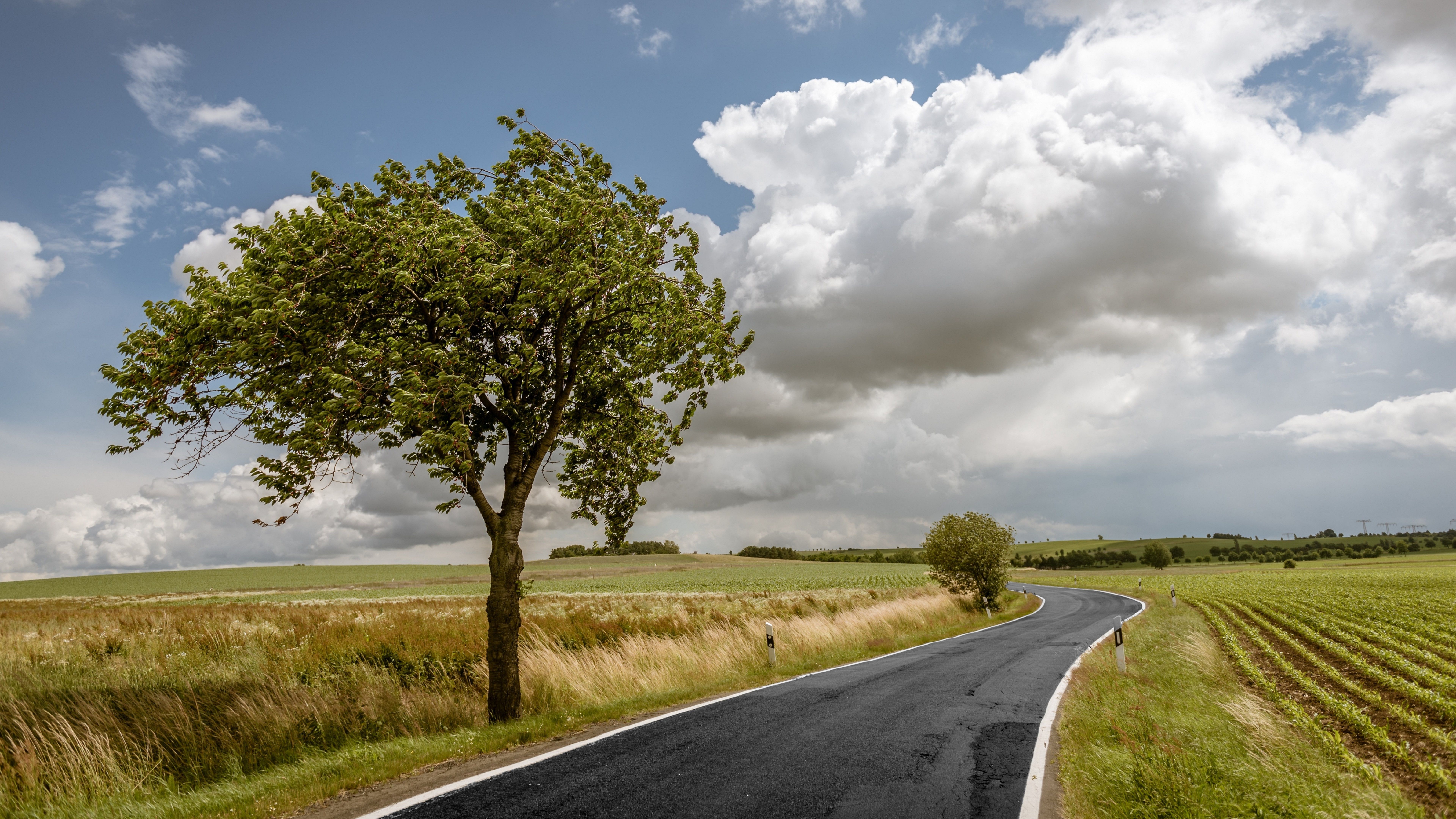 Spring Nature HD Wallpaper .wallpaperafari.com