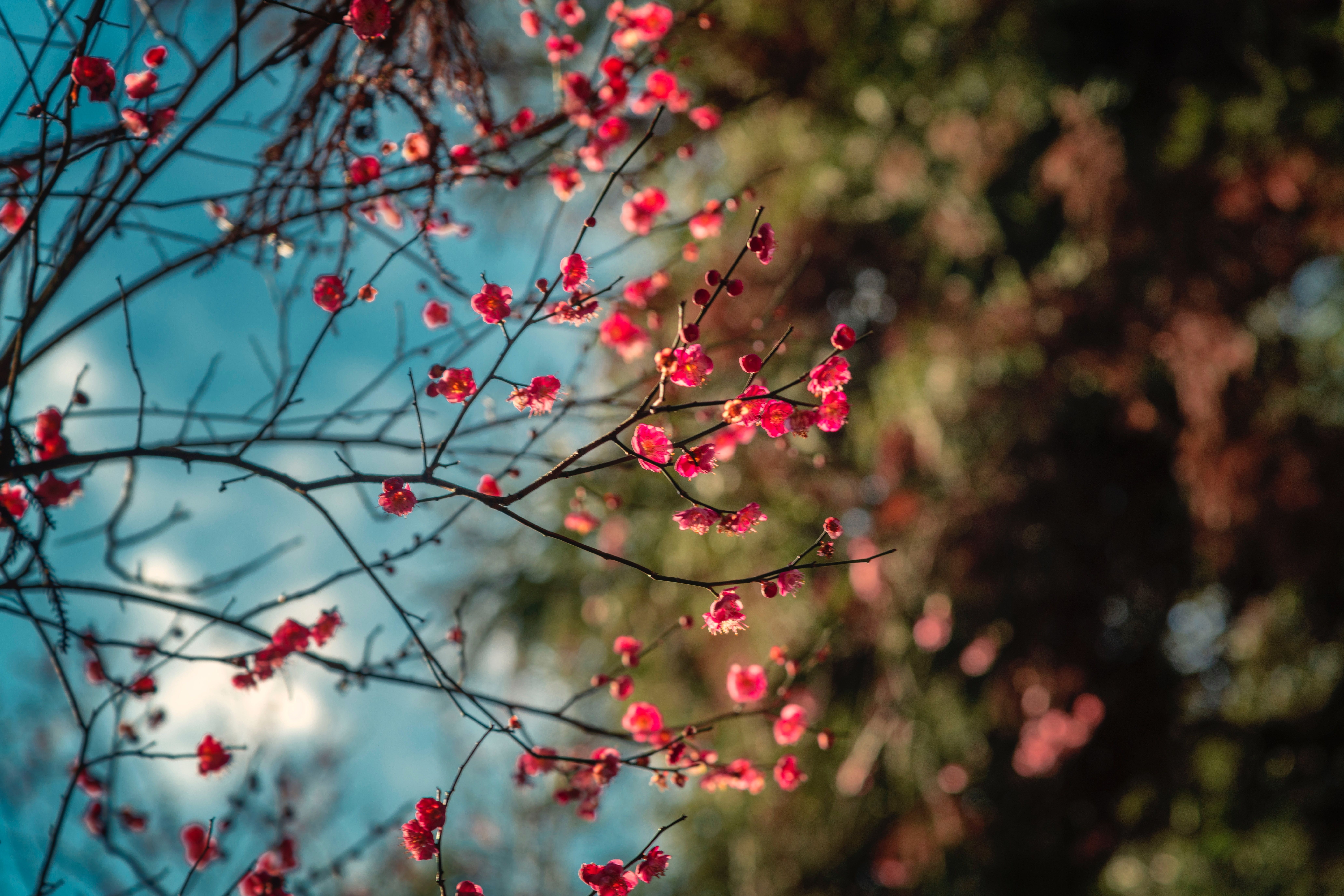 Resolution Wallpaper & Backgrounduhdwallpaper.xyz