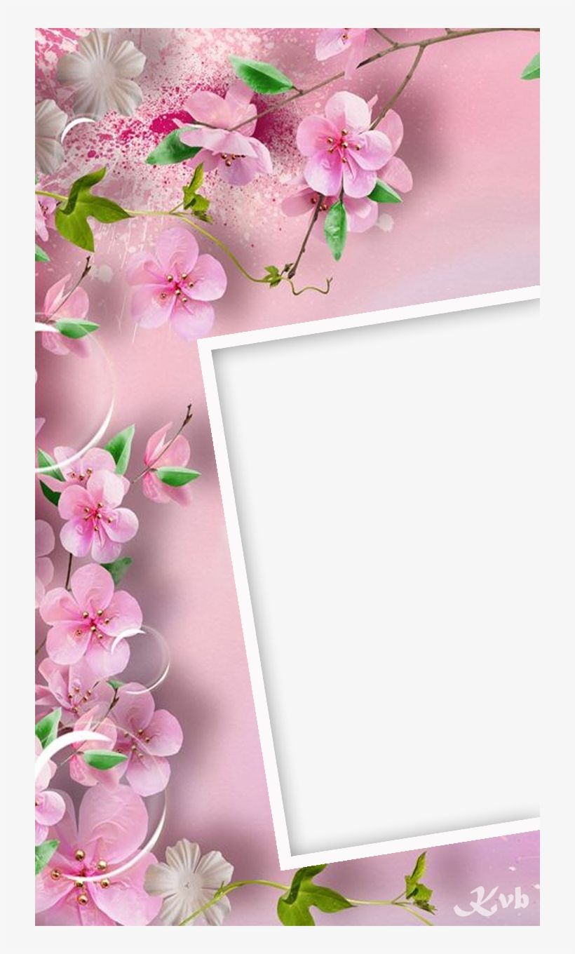 Pink Flower Frame Flower Wallpaper HD Transparent PNG Download