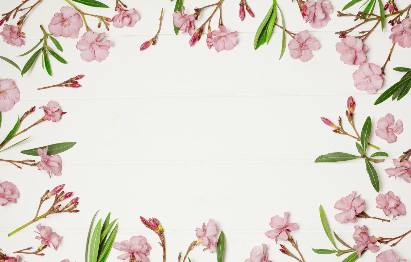 Wallpaper flowers, background, frame, pink, pink, flowers, frame, floral image for desktop, section цветы
