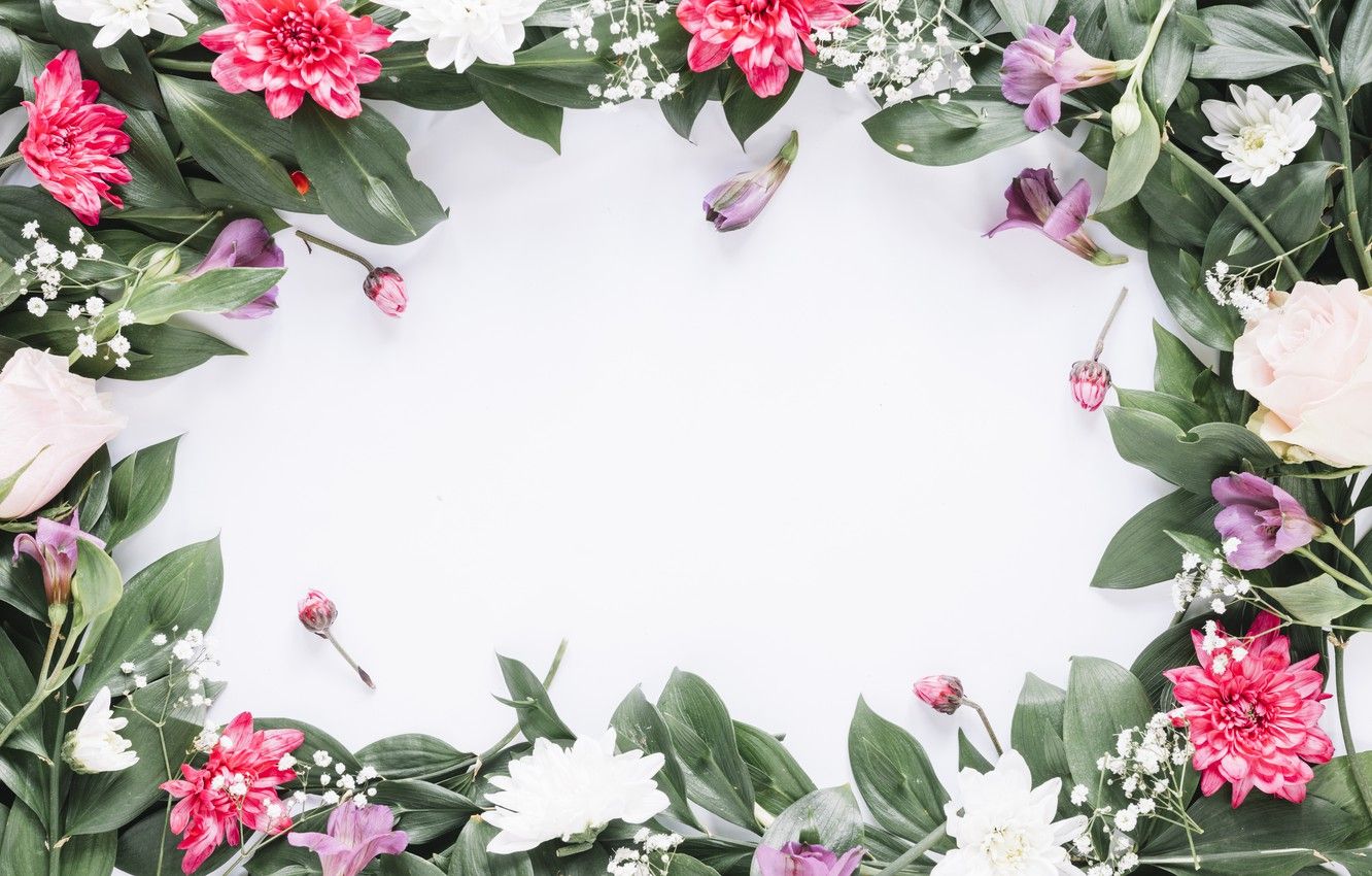 Wallpaper flowers, frame, colorful, pink, flowers, frame, floral image for desktop, section цветы