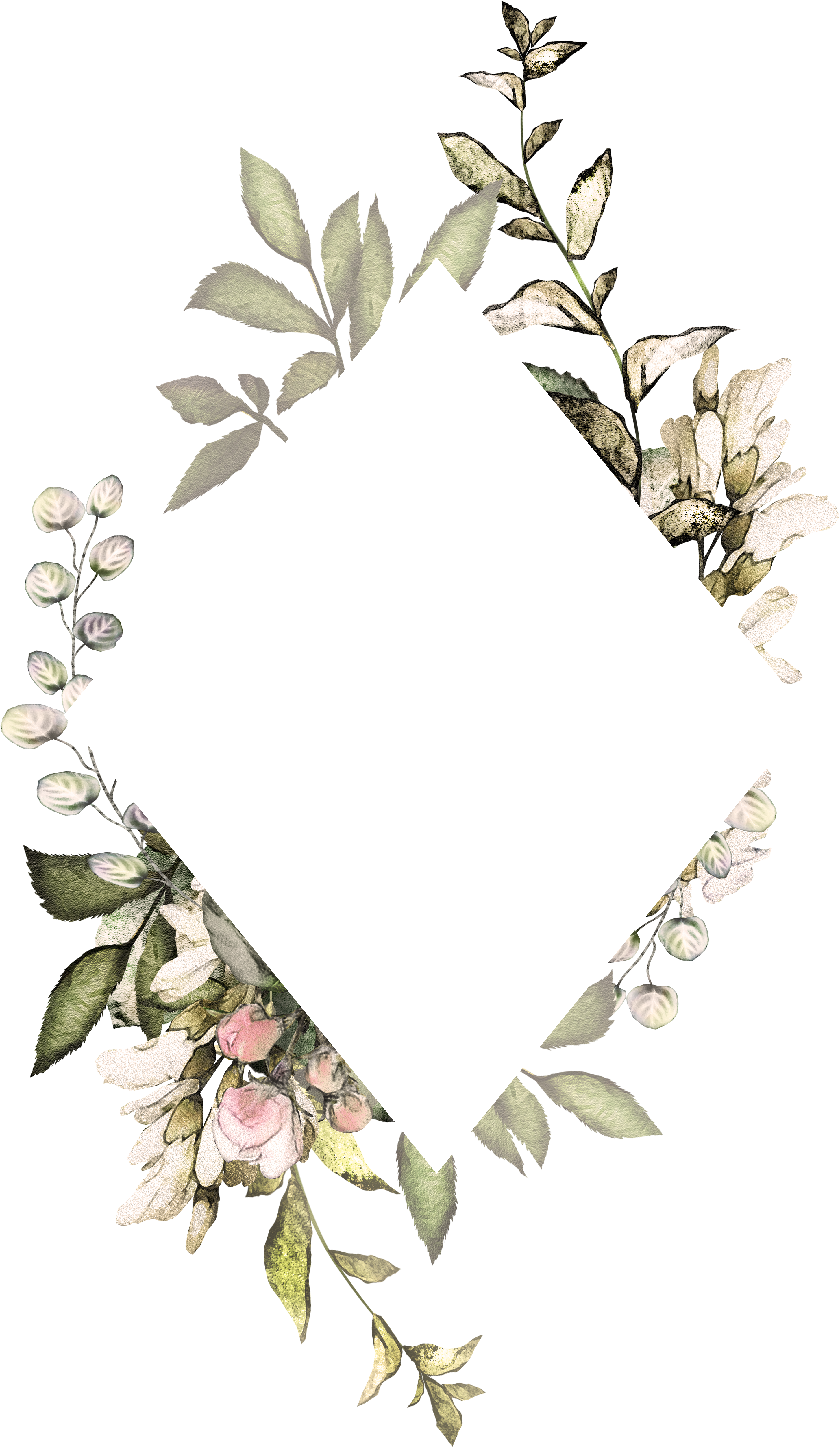 Floral Watercolor Frames Transparent .jing.fm