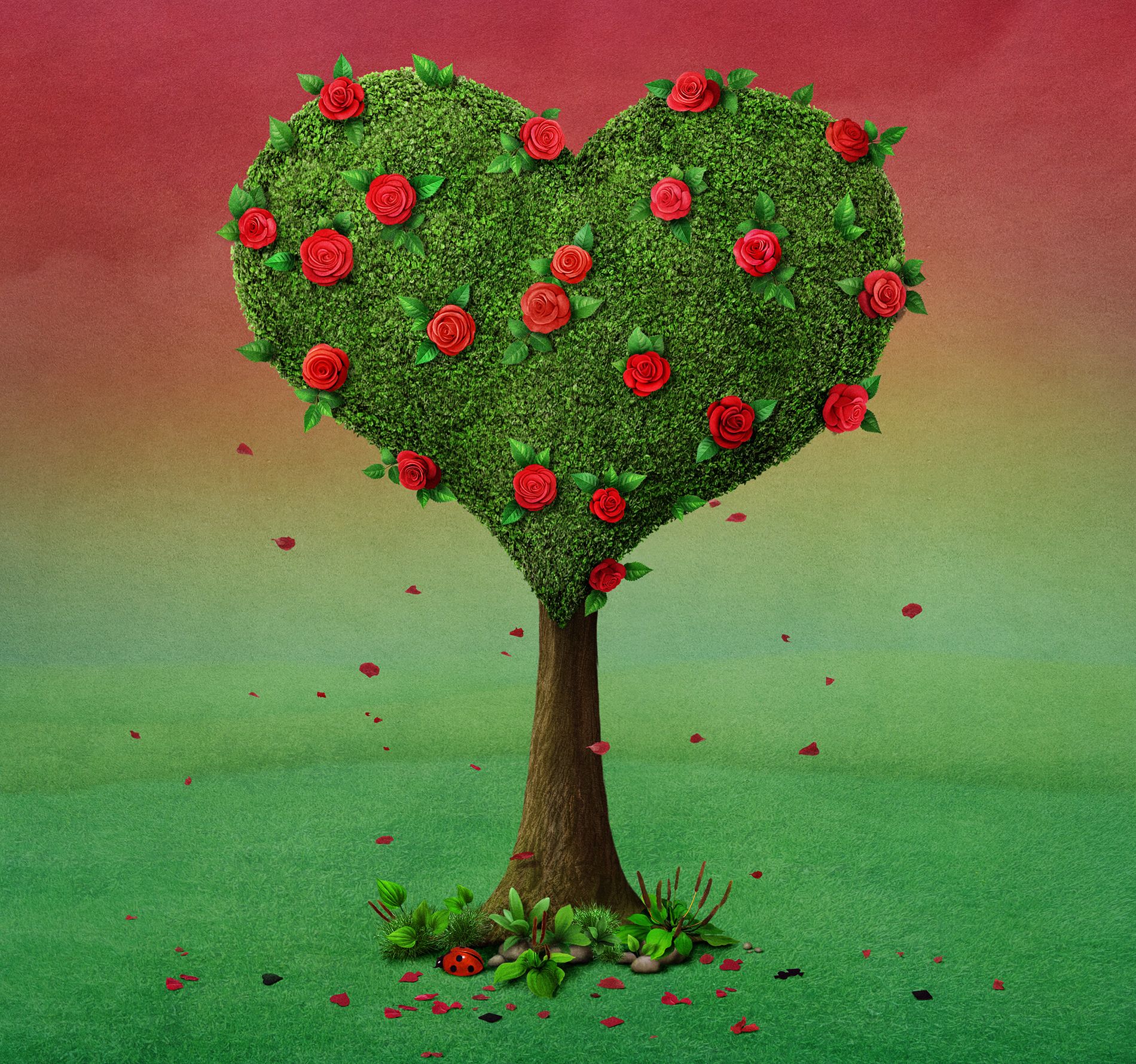Heart shaped tree with falling petals .freegreatpicture.com