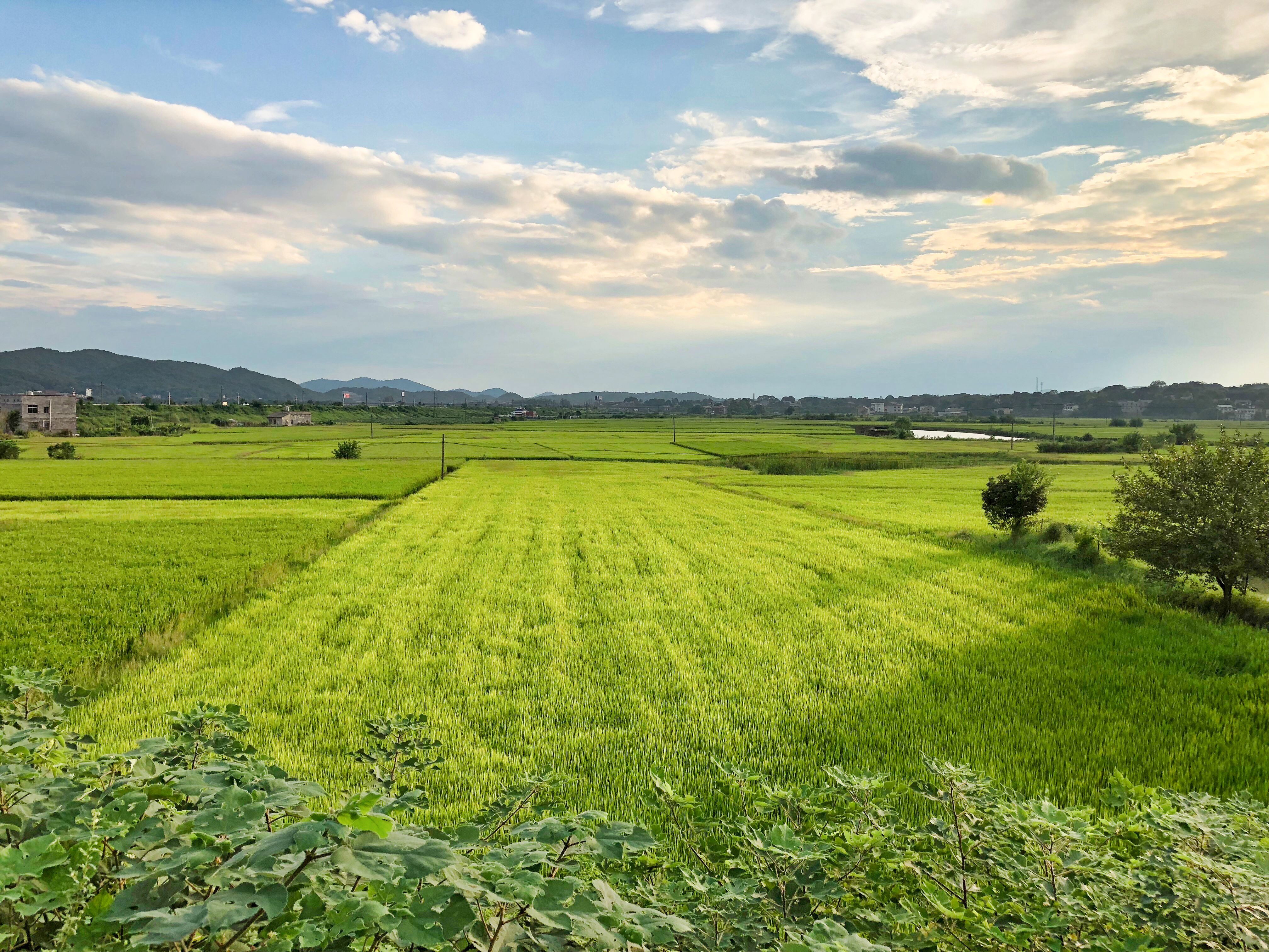 Awesome Aesthetic Landscape Vintage .alpahause.blogspot.com