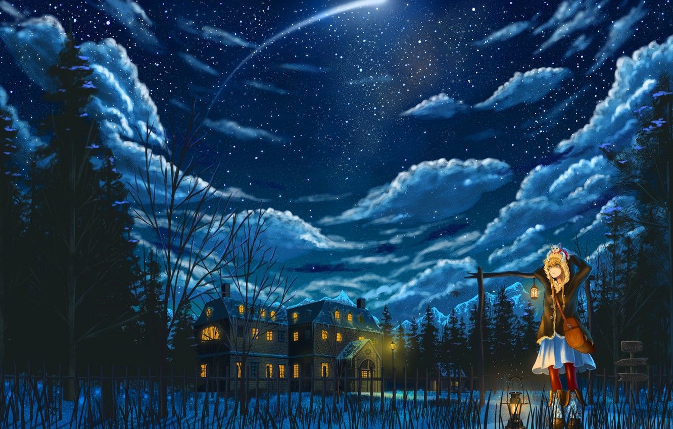 Wallpaper winter, cat, girl, clouds, snow, snowflakes, night, anime, art, pixiv fantasia image for desktop, section арт