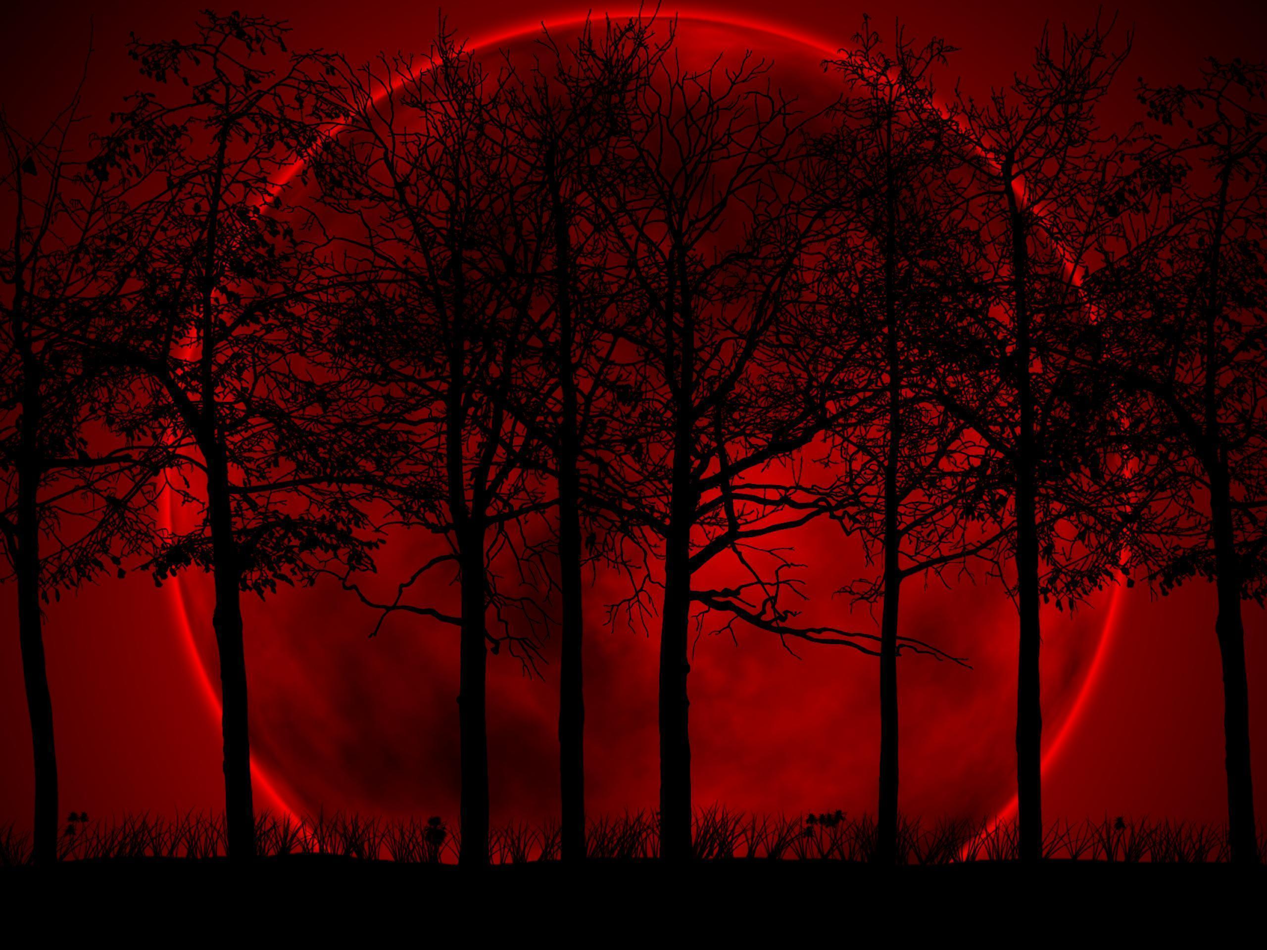 Red and Black Tree Wallpaper .wallpaperaccess.com
