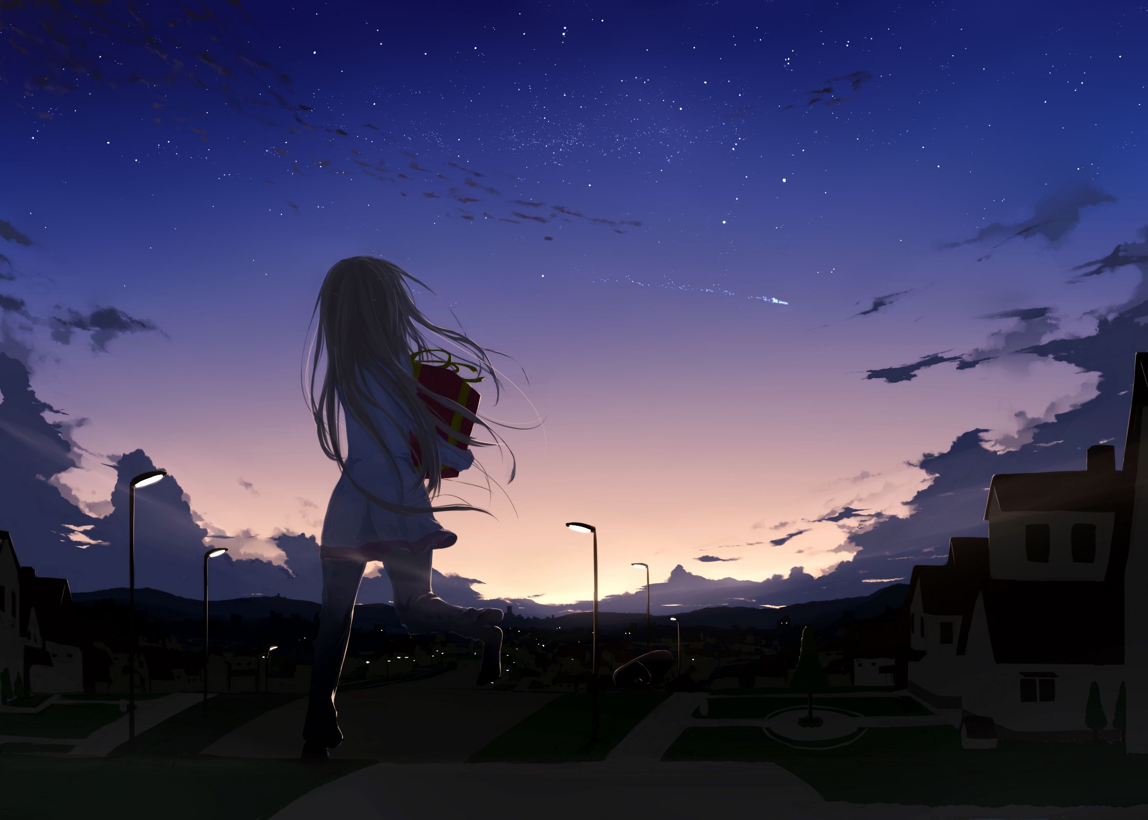 Night Sky Anime Girl HD Wallpaper