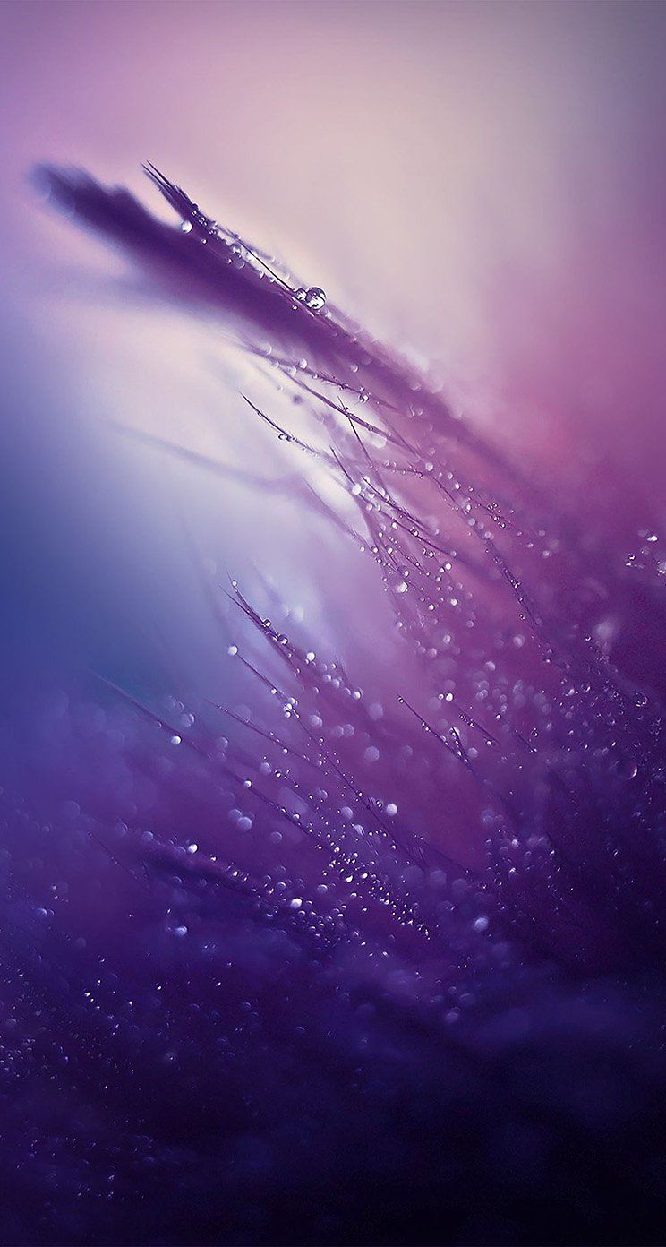 Purple Rain HD Wallpaper For Your .com