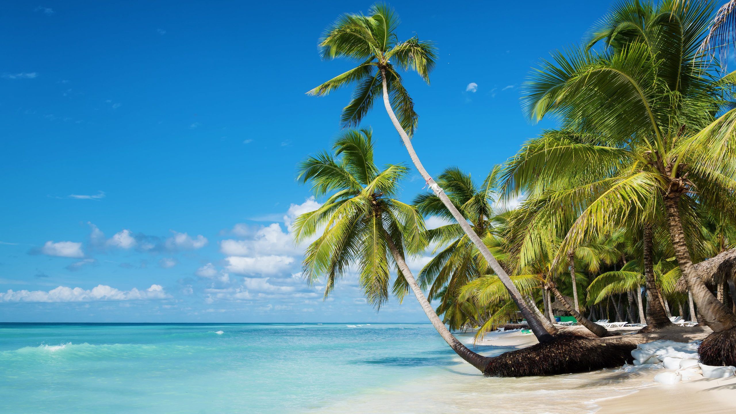 Sky, summertime, tropical landscape .wallpaperforu.com