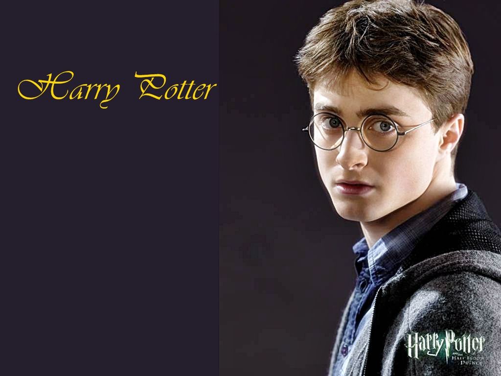 Harry Potter Wallpaper James .fanpop.com
