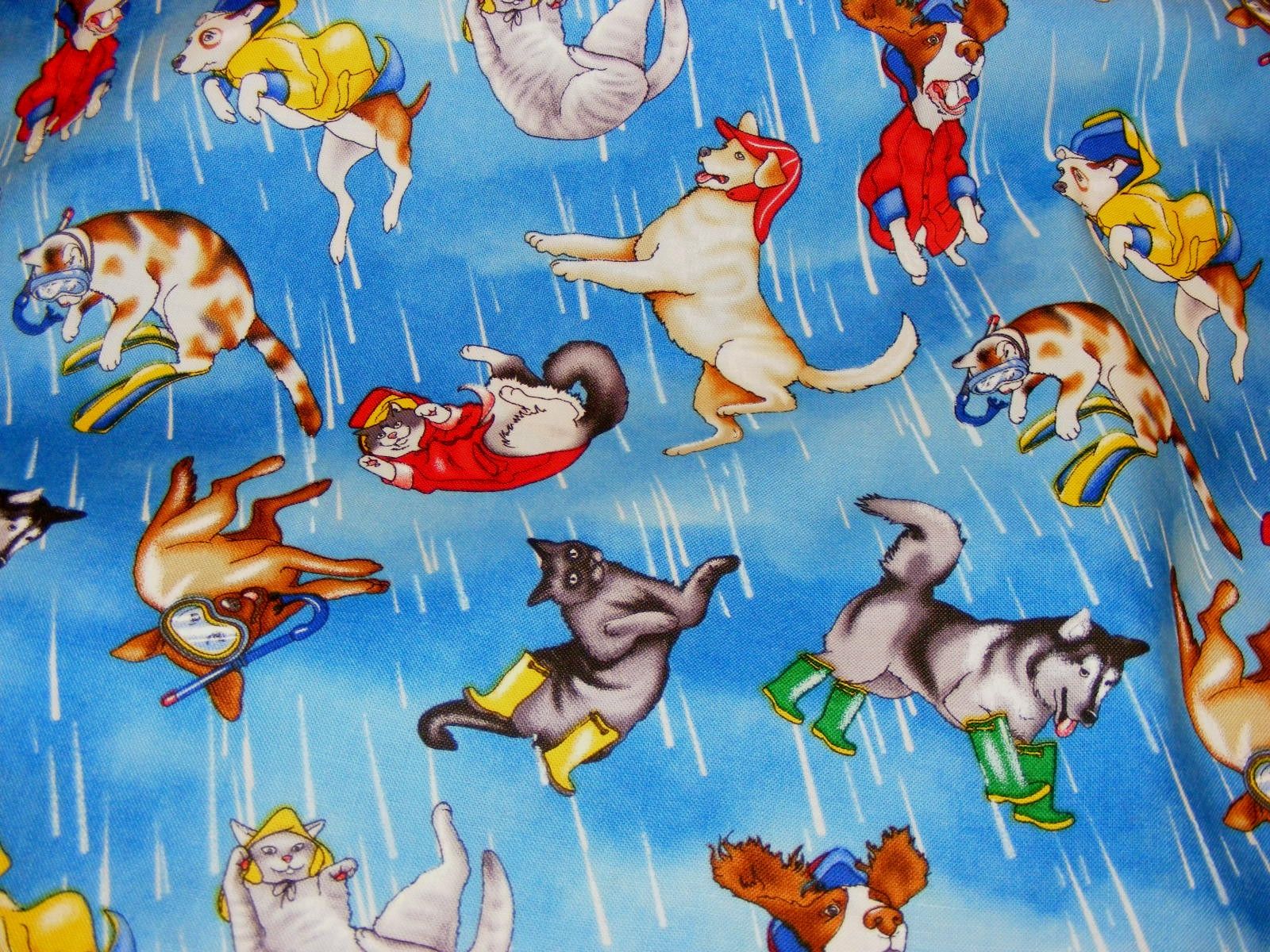 raining cats and dogs .metro.co.uk