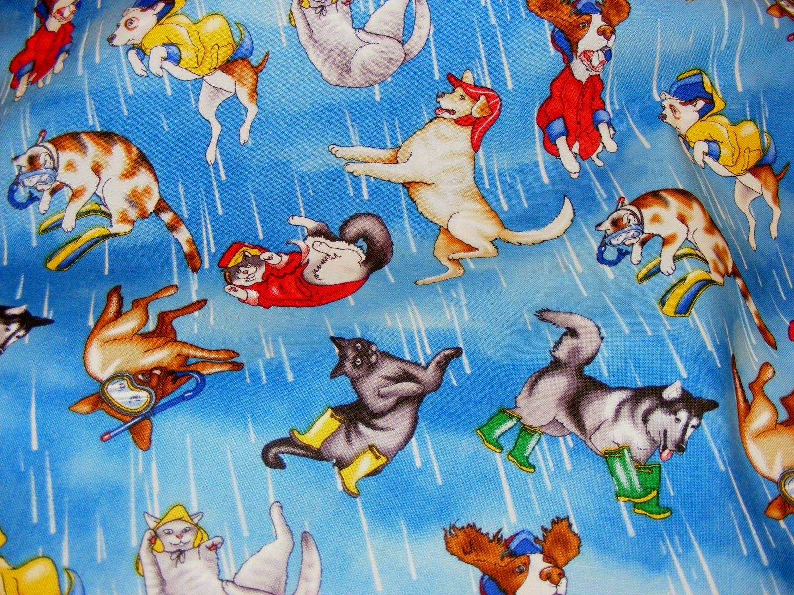 Raining Cats And Dogs Wallpapers - Wallpaper Cave