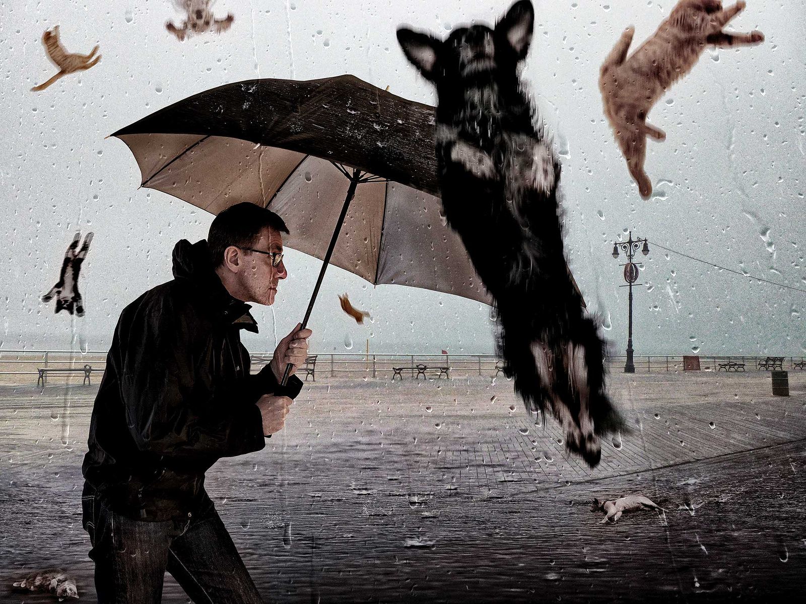 raining cats and dogs. Lexical Lablexicallab.com