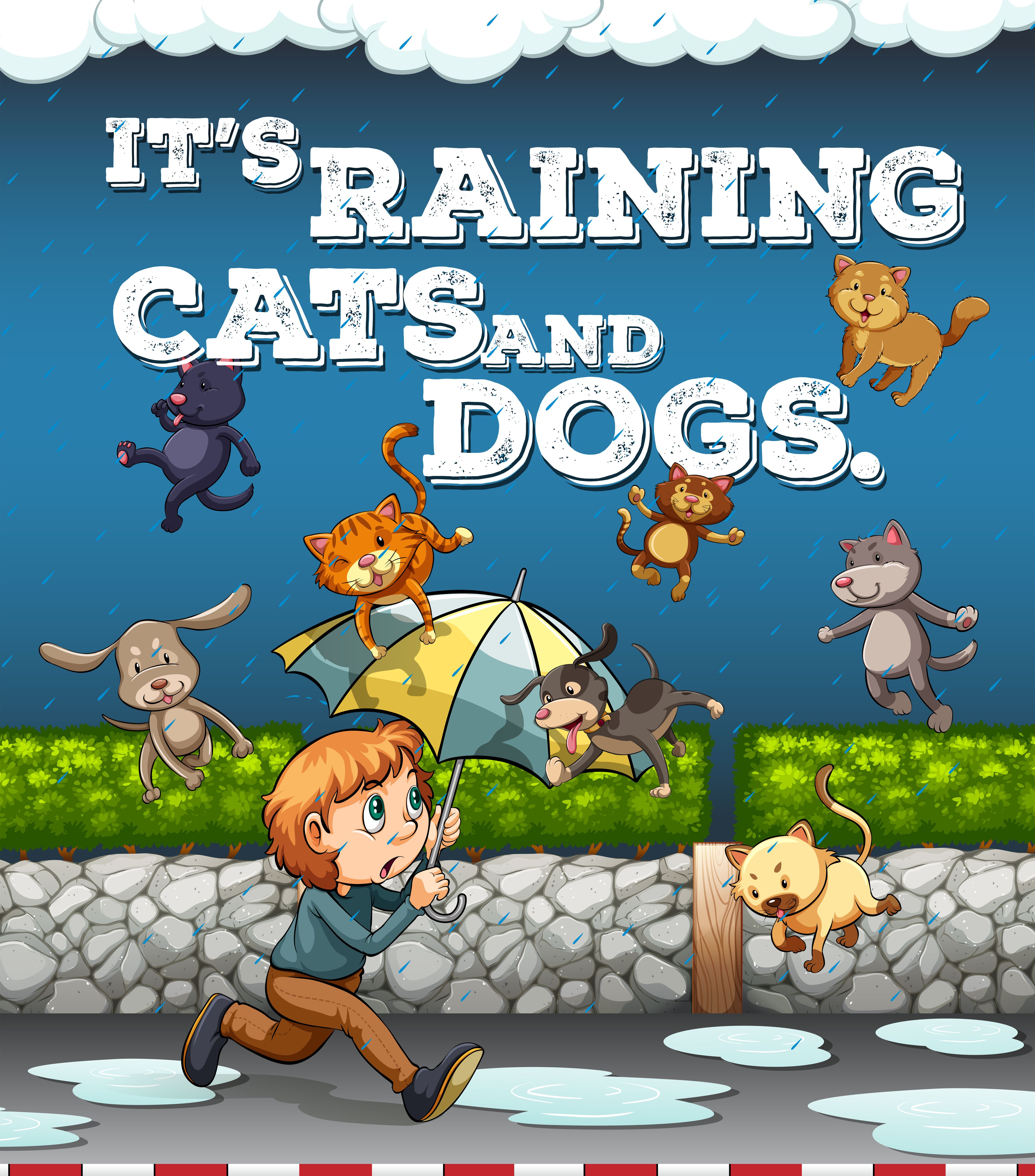 Idiom poster with raining cats and dogs .vecteezy.com