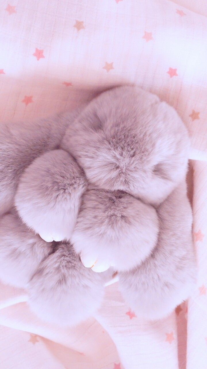 animals, baby, background, beautiful, beauty, bunny, colorful, cute animals, cute baby, design, iphone, little bunny, nature, pastel, plush, rabbit, sleep, soft, stars, still life, style, vintage, wallpaper, we heart it, pink background