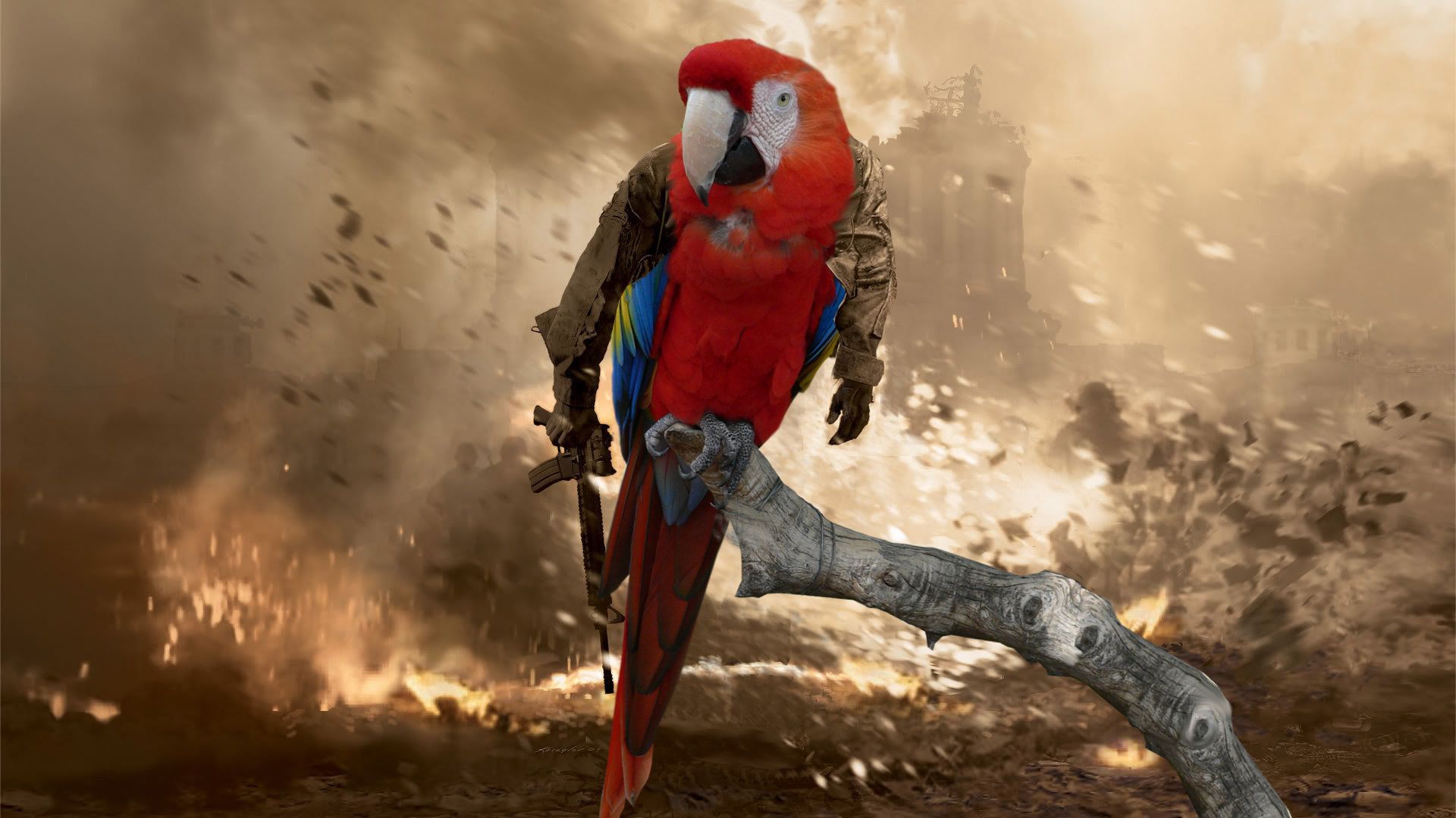 Animal Scarlet Macaw Wallpaper .wallha.com