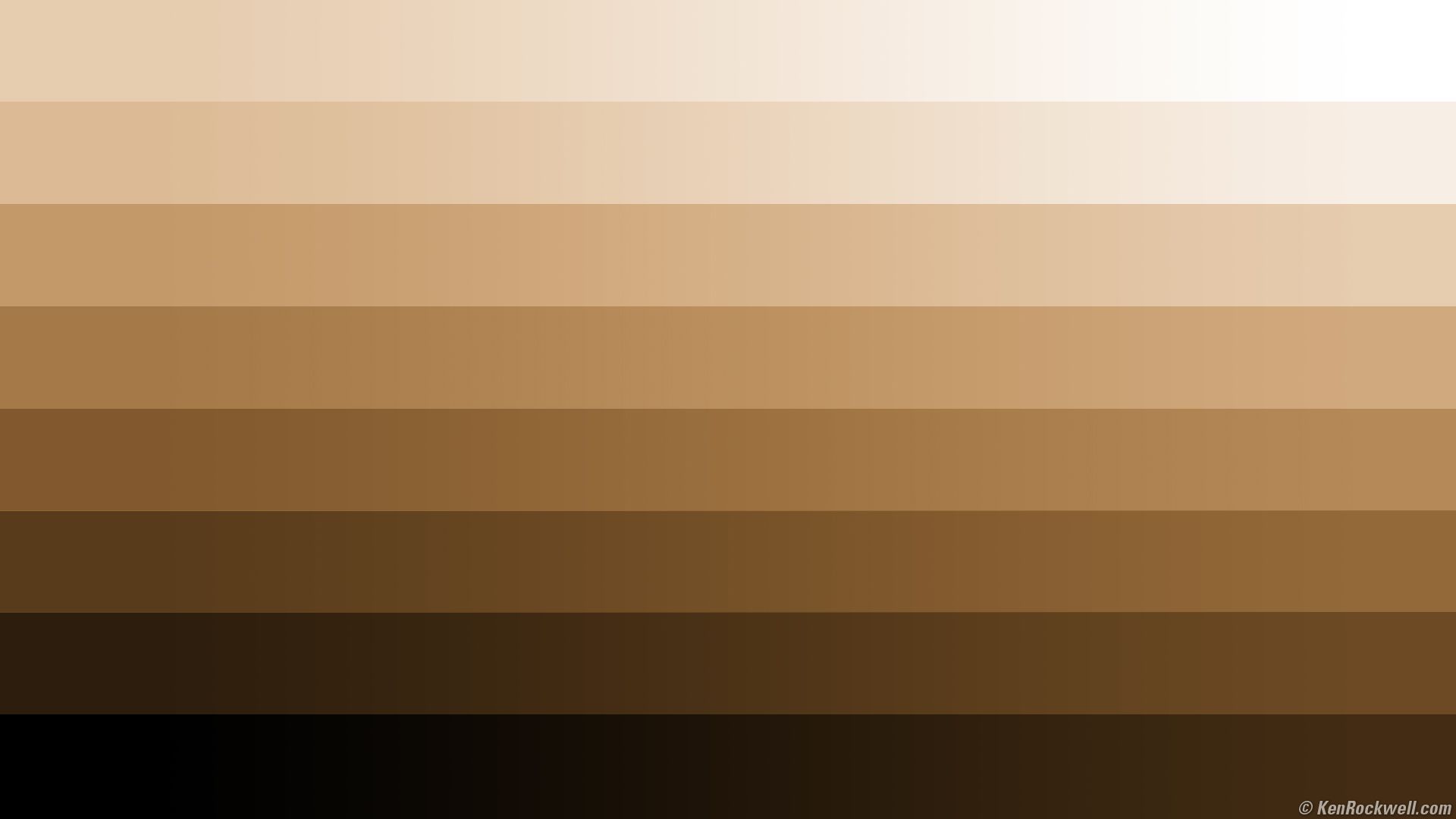 Skin variations. Colors for skin tone .gr.com