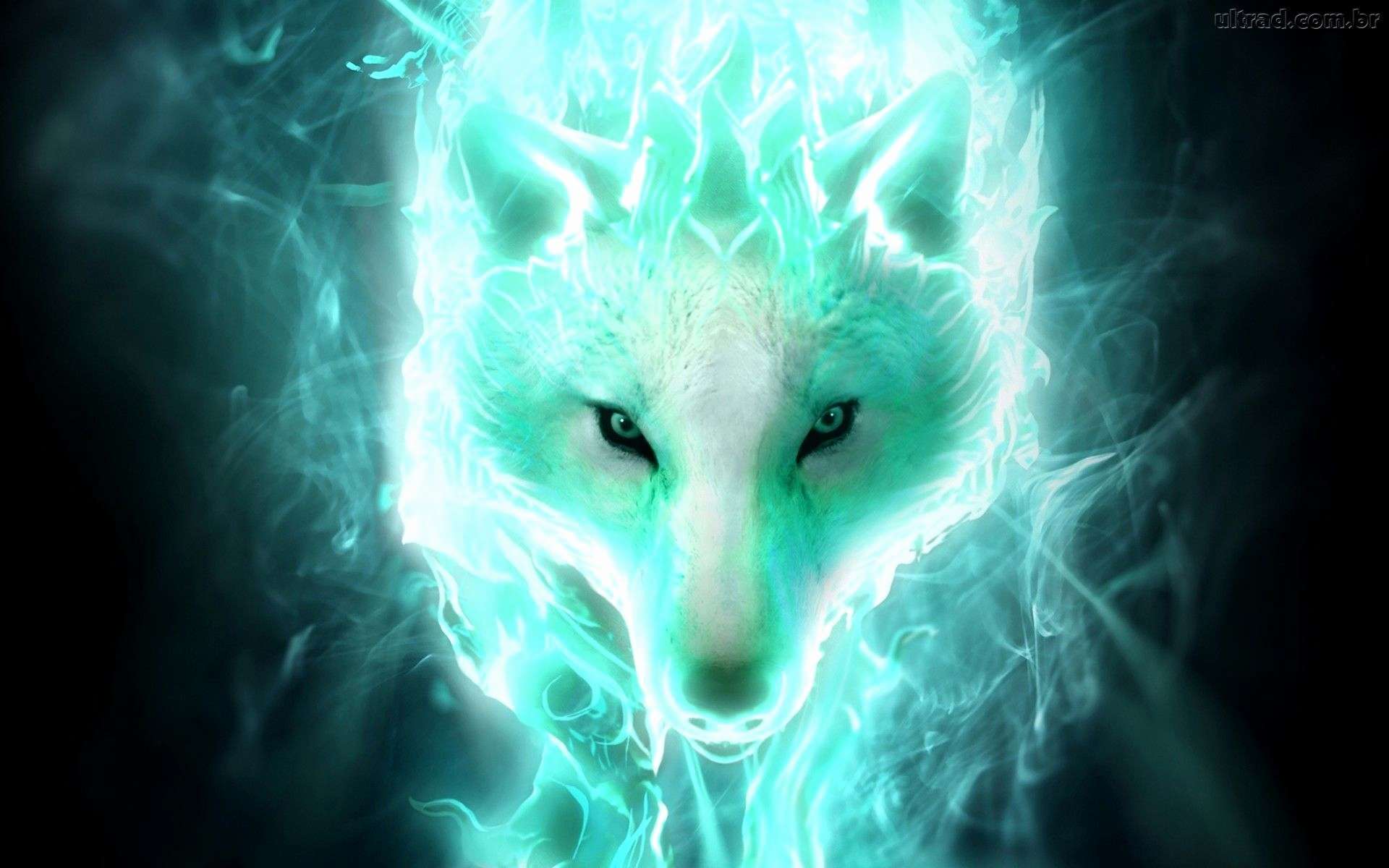Wallpaper Cool Fire Background Wolf