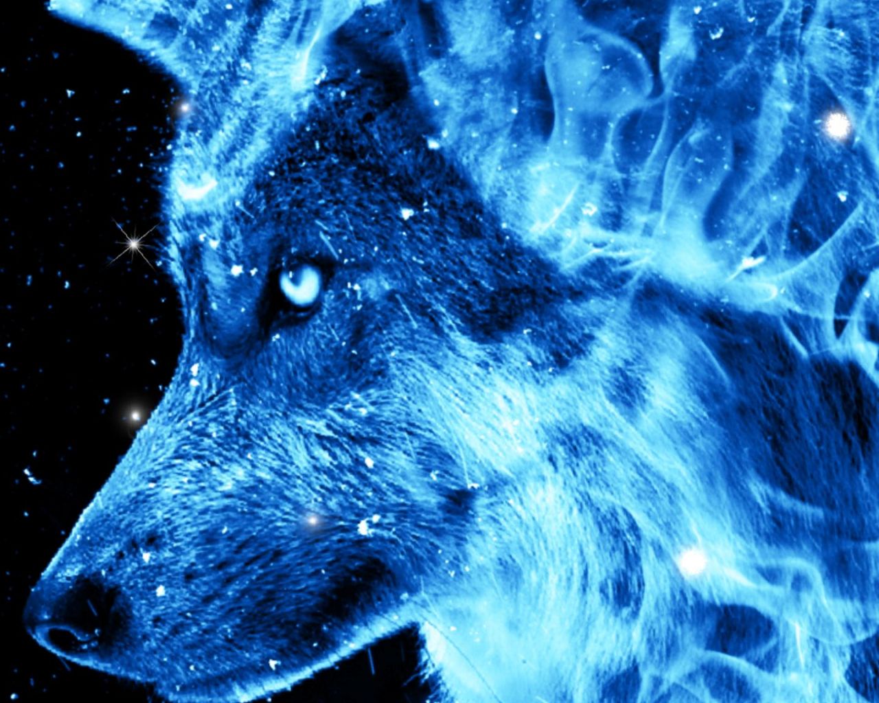 Free download Ice Fire Wolf Wallpaper .wallpaperafari.com