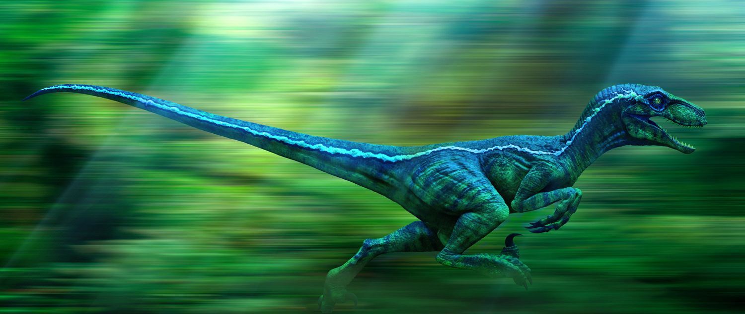 Raptor Blue. Jurassic park, Jurassic .co.uk