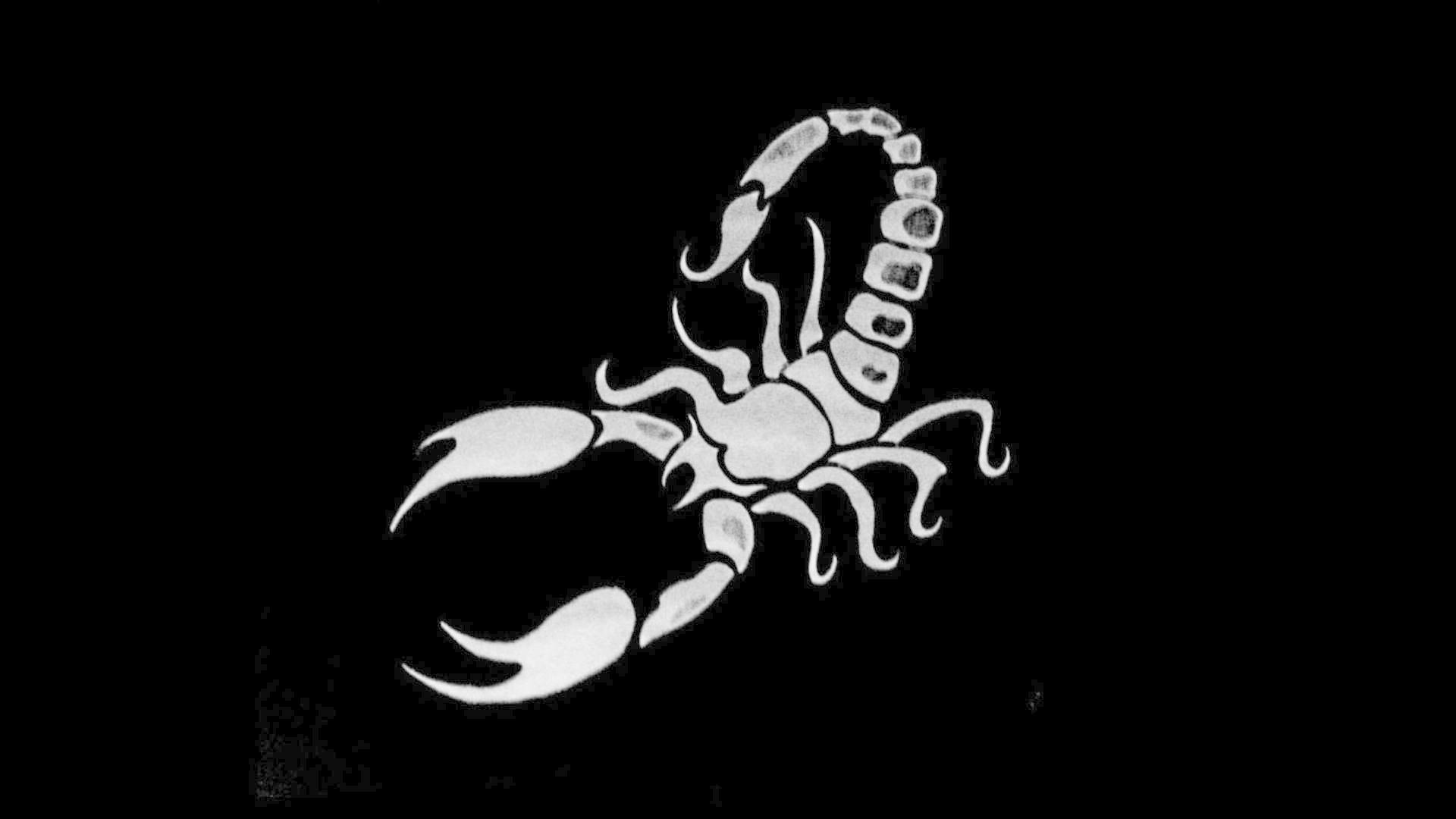 Scorpion Live Wallpaper for Android .apkpure.com