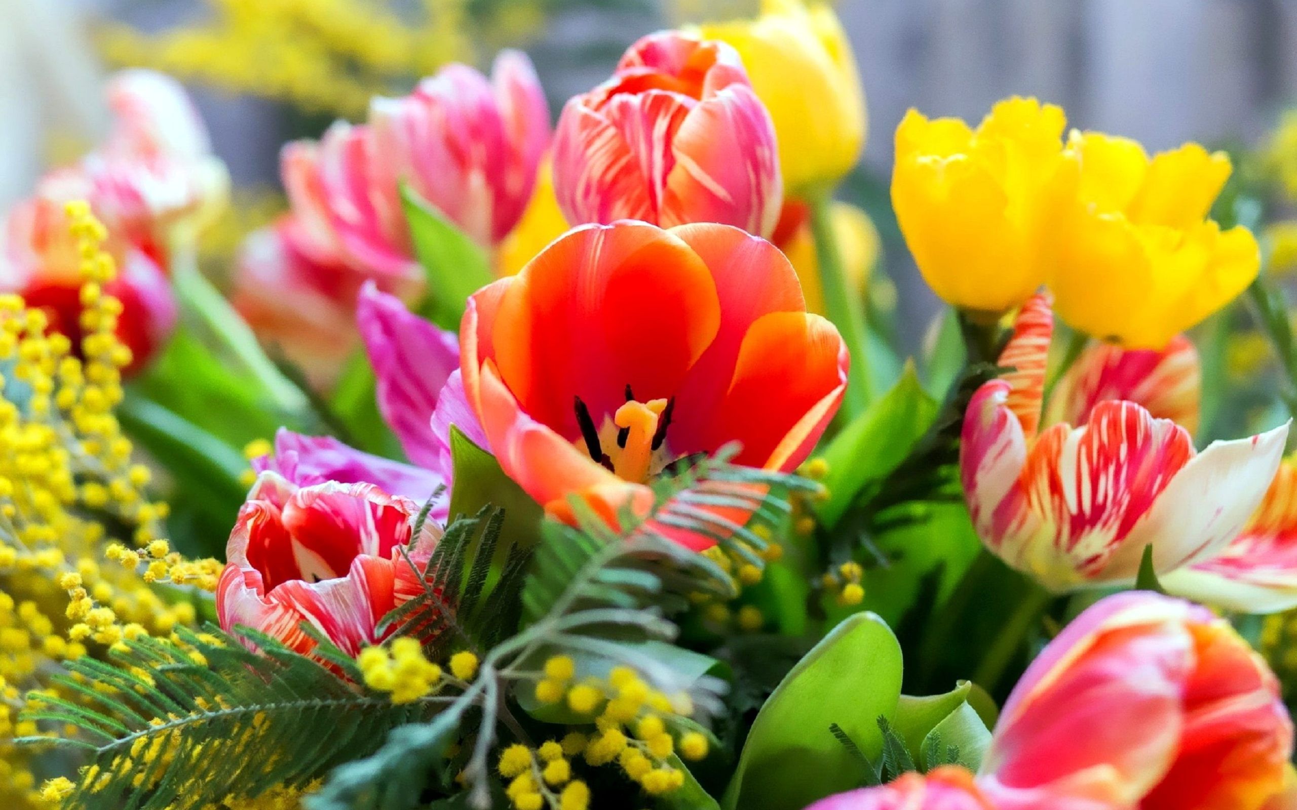 Spring Flowers Wallpaper HD Wallpaper