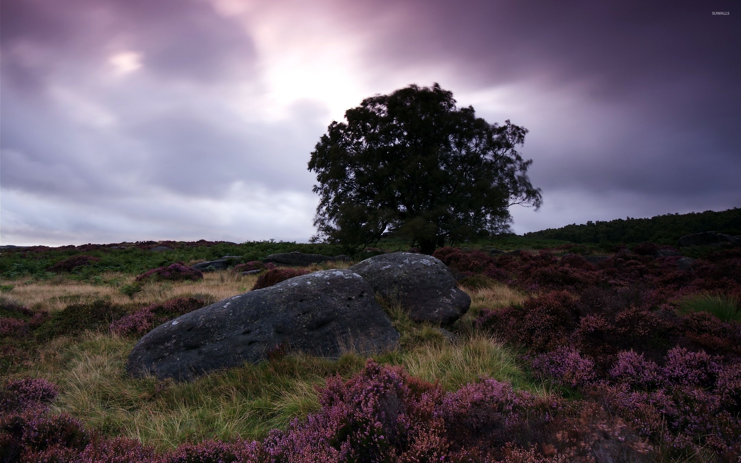 Spring field wallpaper .suwalls.com