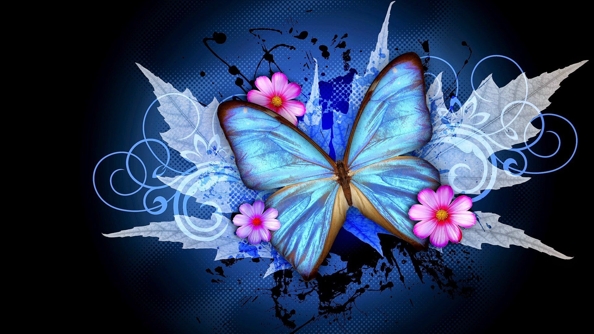 Beautiful Butterfly Image For Whatsapp .teahub.io