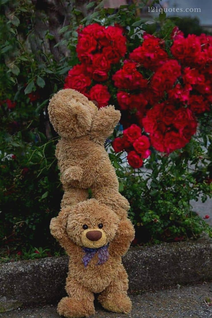 Best Teddy Bear Image Free .goodmorningimagess.online