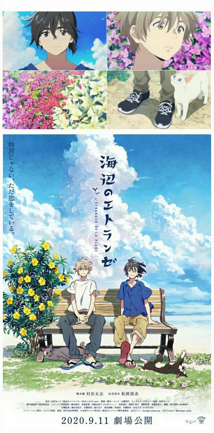Anime scenery wallpaper, Anime, Anime filmspinterest