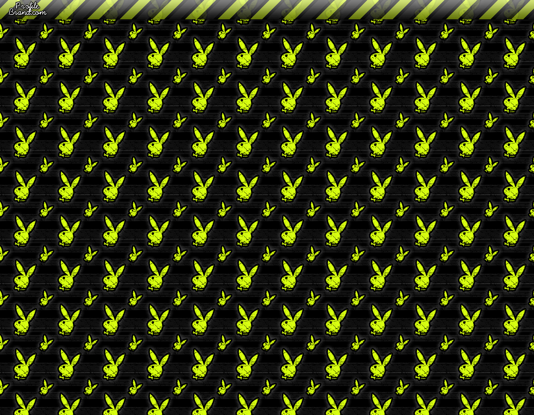 Playboy Bunny Logo Wallpaper .pngio.com