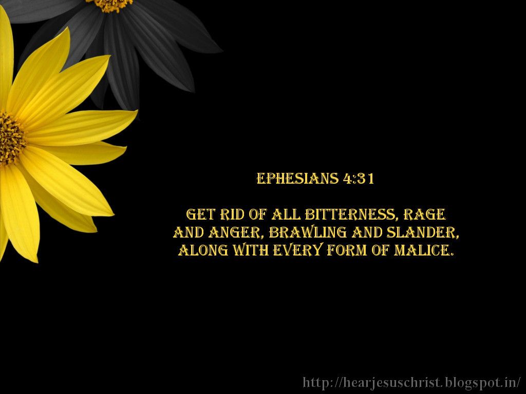 Ephesians 6 Wallpaperwallpaperafari.com