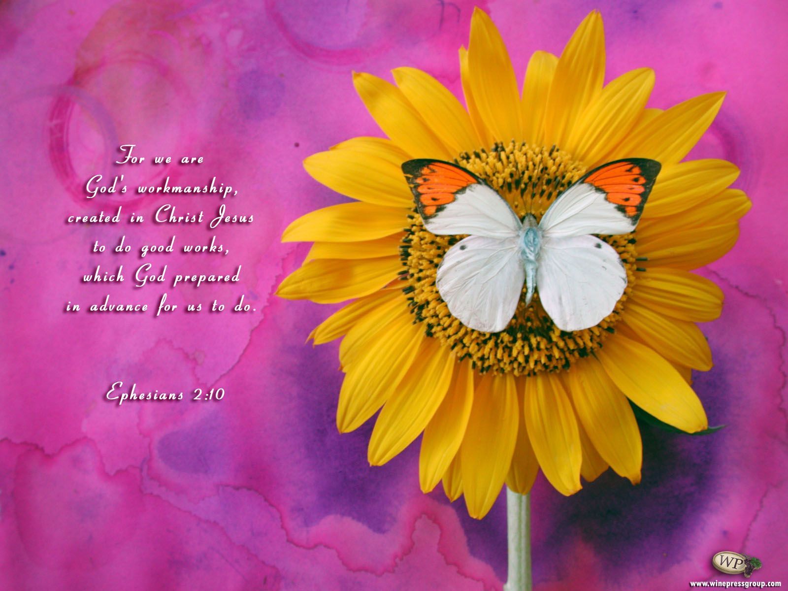 Ephesians 2:10 Are Created To Do .wallpaper4god.com