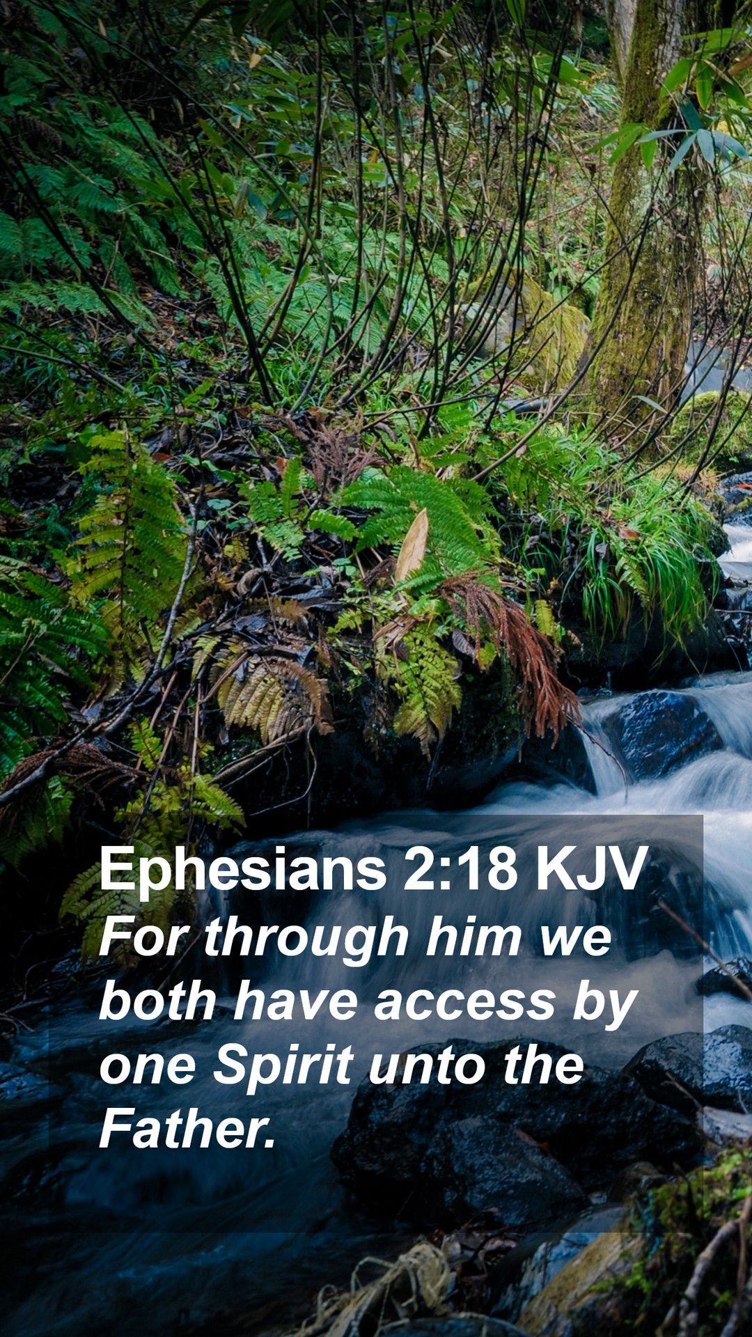 Ephesians Bible Verse Desktop Wallpaper