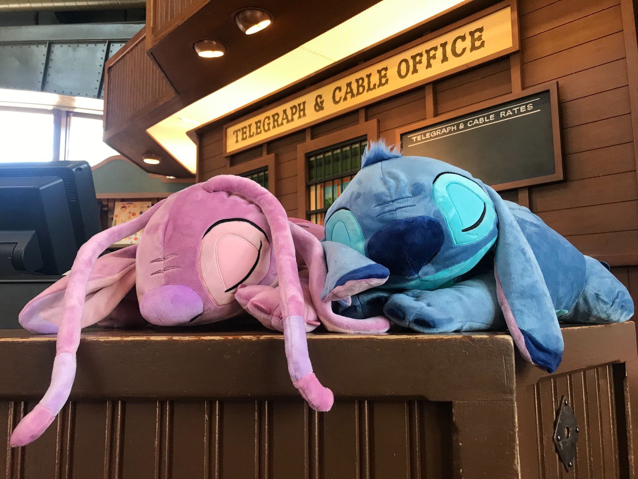 Sleepy Stitch and Angel Dream .twitter.com