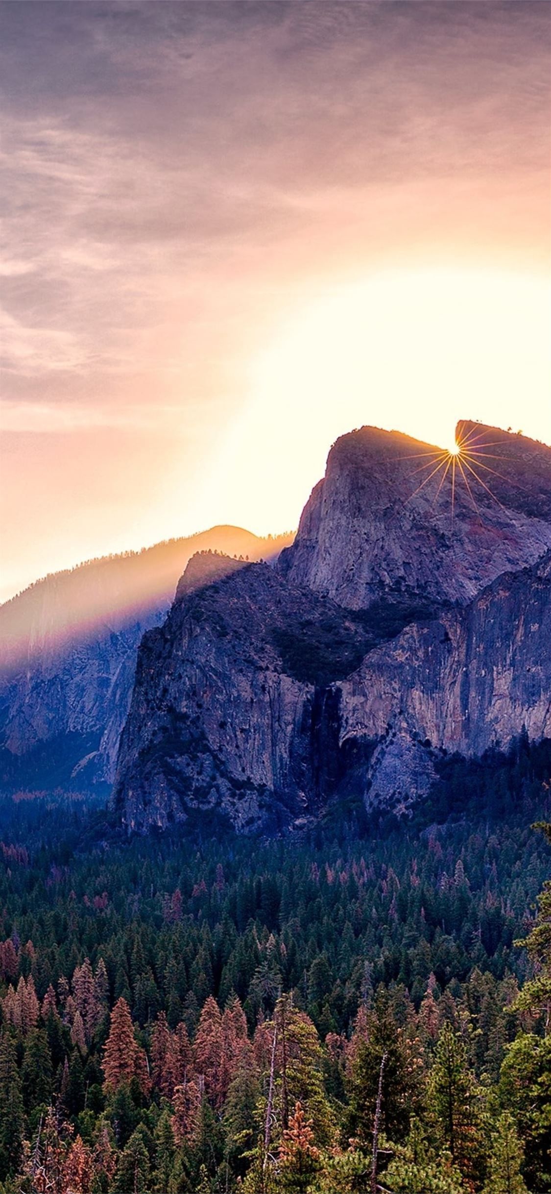 yosemite valley morning #yosemite #valley #nature #iPhoneXWallpaper. Yosemite valley, Yosemite, Wallpaper